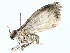  ( - BIOUG73639-E06)  @11 [ ] CreativeCommons - Attribution (2022) CBG Photography Group Centre for Biodiversity Genomics