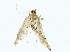  ( - BIOUG80113-A03)  @11 [ ] CreativeCommons - Attribution (2022) CBG Photography Group Centre for Biodiversity Genomics