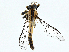  ( - BIOUG95308-C05)  @11 [ ] CreativeCommons - Attribution (2023) CBG Photography Group Centre for Biodiversity Genomics