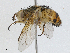  ( - CBG-A00365-B04)  @11 [ ] CreativeCommons - Attribution (2023) CBG Photography Group Centre for Biodiversity Genomics