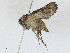  ( - CBG-A01177-G06)  @11 [ ] CreativeCommons - Attribution (2023) CBG Photography Group Centre for Biodiversity Genomics