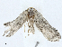  ( - CBG-A01199-G07)  @11 [ ] CreativeCommons - Attribution (2023) CBG Photography Group Centre for Biodiversity Genomics