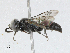  ( - CBG-A04506-G04)  @11 [ ] CreativeCommons - Attribution (2023) CBG Photography Group Centre for Biodiversity Genomics
