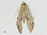  ( - CBG-A04506-H04)  @11 [ ] CreativeCommons - Attribution (2023) CBG Photography Group Centre for Biodiversity Genomics