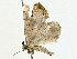  ( - BIOUG80720-A01)  @11 [ ] CreativeCommons - Attribution (2022) CBG Photography Group Centre for Biodiversity Genomics