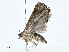  ( - CBG-A01213-F09)  @11 [ ] CreativeCommons - Attribution (2023) CBG Photography Group Centre for Biodiversity Genomics