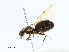  ( - CBG-A02843-H04)  @11 [ ] CreativeCommons - Attribution (2023) CBG Photography Group Centre for Biodiversity Genomics