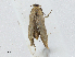  ( - CBG-A02844-A08)  @11 [ ] CreativeCommons - Attribution (2023) CBG Photography Group Centre for Biodiversity Genomics