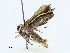  ( - CBG-A02860-G08)  @11 [ ] CreativeCommons - Attribution (2023) CBG Photography Group Centre for Biodiversity Genomics
