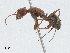  ( - CBG-A04443-D07)  @11 [ ] CreativeCommons - Attribution (2023) CBG Photography Group Centre for Biodiversity Genomics