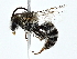  ( - BIOUG80720-D08)  @11 [ ] CreativeCommons - Attribution (2022) CBG Photography Group Centre for Biodiversity Genomics