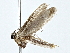  ( - BIOUG80720-G11)  @11 [ ] CreativeCommons - Attribution (2022) CBG Photography Group Centre for Biodiversity Genomics
