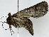  ( - BIOUG89973-B12)  @11 [ ] CreativeCommons - Attribution (2022) CBG Photography Group Centre for Biodiversity Genomics