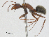  ( - CBG-A01179-C02)  @11 [ ] CreativeCommons - Attribution (2023) CBG Photography Group Centre for Biodiversity Genomics