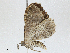  ( - CBG-A01179-G07)  @11 [ ] CreativeCommons - Attribution (2023) CBG Photography Group Centre for Biodiversity Genomics