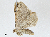  ( - CBG-A01179-G09)  @11 [ ] CreativeCommons - Attribution (2023) CBG Photography Group Centre for Biodiversity Genomics