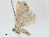  ( - CBG-A01179-G10)  @11 [ ] CreativeCommons - Attribution (2023) CBG Photography Group Centre for Biodiversity Genomics