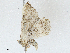  ( - CBG-A01179-G11)  @11 [ ] CreativeCommons - Attribution (2023) CBG Photography Group Centre for Biodiversity Genomics