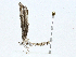  ( - CBG-A02838-E08)  @11 [ ] CreativeCommons - Attribution (2023) CBG Photography Group Centre for Biodiversity Genomics