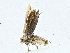  ( - CBG-A02838-E11)  @11 [ ] CreativeCommons - Attribution (2023) CBG Photography Group Centre for Biodiversity Genomics
