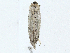  ( - CBG-A02839-B10)  @11 [ ] CreativeCommons - Attribution (2023) CBG Photography Group Centre for Biodiversity Genomics