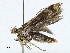  ( - CBG-A02862-G07)  @11 [ ] CreativeCommons - Attribution (2023) CBG Photography Group Centre for Biodiversity Genomics