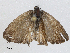  ( - CBG-A02900-A05)  @11 [ ] CreativeCommons - Attribution (2023) CBG Photography Group Centre for Biodiversity Genomics