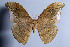  ( - KLWBC-059)  @14 [ ] Copyright (2010) Unspecified Research Collection of Kirby wolfe