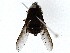  ( - BIOUG85487-G12)  @11 [ ] CreativeCommons - Attribution (2022) CBG Photography Group Centre for Biodiversity Genomics
