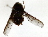  ( - BIOUG85487-H02)  @11 [ ] CreativeCommons - Attribution (2022) CBG Photography Group Centre for Biodiversity Genomics