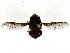  ( - BIOUG85487-H05)  @11 [ ] CreativeCommons - Attribution (2022) CBG Photography Group Centre for Biodiversity Genomics
