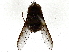  ( - BIOUG85487-H06)  @11 [ ] CreativeCommons - Attribution (2022) CBG Photography Group Centre for Biodiversity Genomics