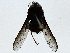  ( - BIOUG85488-D07)  @11 [ ] CreativeCommons - Attribution (2022) CBG Photography Group Centre for Biodiversity Genomics