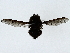  ( - BIOUG85488-D10)  @11 [ ] CreativeCommons - Attribution (2022) CBG Photography Group Centre for Biodiversity Genomics