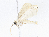  ( - CBG-A06242-E10)  @11 [ ] CreativeCommons - Attribution Share - Alike (2023) CBG Photography Group Centre for Biodiversity Genomics