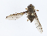  ( - CBG-A06243-B04)  @11 [ ] CreativeCommons - Attribution Share - Alike (2023) CBG Photography Group Centre for Biodiversity Genomics