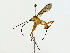  ( - BIOUG73633-E02)  @11 [ ] CreativeCommons - Attribution (2022) CBG Photography Group Centre for Biodiversity Genomics