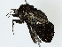  ( - BIOUG80126-D12)  @11 [ ] CreativeCommons - Attribution (2022) CBG Photography Group Centre for Biodiversity Genomics