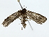  ( - BIOUG80126-G04)  @11 [ ] CreativeCommons - Attribution (2022) CBG Photography Group Centre for Biodiversity Genomics