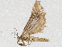  ( - CBG-A05382-C09)  @11 [ ] CreativeCommons - Attribution (2023) CBG Photography Group Centre for Biodiversity Genomics