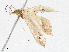  ( - CBG-A05388-D08)  @11 [ ] CreativeCommons - Attribution (2023) CBG Photography Group Centre for Biodiversity Genomics