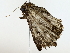  ( - BIOUG80113-G02)  @11 [ ] CreativeCommons - Attribution (2022) CBG Photography Group Centre for Biodiversity Genomics