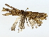  ( - BIOUG80137-F06)  @11 [ ] CreativeCommons - Attribution (2022) CBG Photography Group Centre for Biodiversity Genomics
