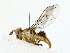 ( - BIOUG80138-H06)  @11 [ ] CreativeCommons - Attribution (2022) CBG Photography Group Centre for Biodiversity Genomics