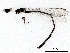  ( - BIOUG97787-H05)  @11 [ ] CreativeCommons - Attribution (2023) CBG Photography Group Centre for Biodiversity Genomics