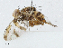  ( - CBG-A00366-B11)  @11 [ ] CreativeCommons - Attribution (2023) CBG Photography Group Centre for Biodiversity Genomics