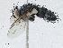  ( - CBG-A02913-F05)  @11 [ ] CreativeCommons - Attribution (2023) CBG Photography Group Centre for Biodiversity Genomics