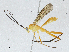  ( - CBG-A02913-F10)  @11 [ ] CreativeCommons - Attribution (2023) CBG Photography Group Centre for Biodiversity Genomics