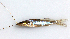  ( - MACNICT201322)  @11 [ ] Copyright (2014) E. Fernández MACN