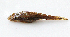  ( - MACNICT201389)  @11 [ ] Copyright (2014) E. Fernández MACN